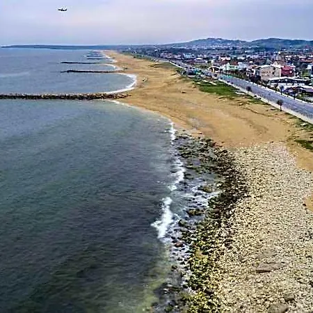 Siesta 3*